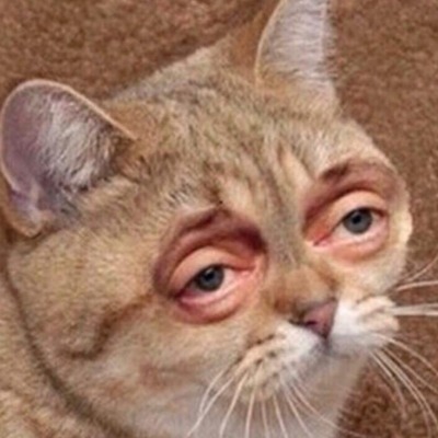 Mycatisveryfat