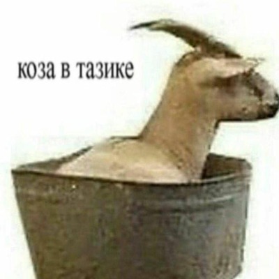 коза в тазике