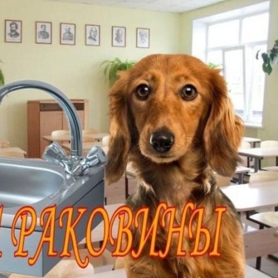 Мяу;)
