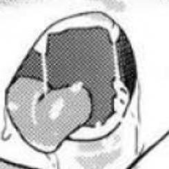 うずまけ ナルト