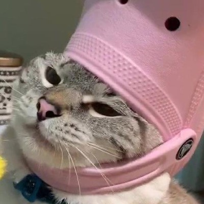 Чучело-Мяучело