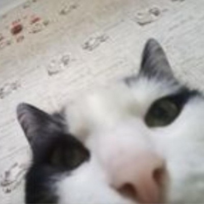 дитё
