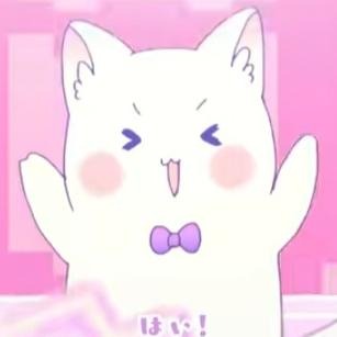 neko no kumo