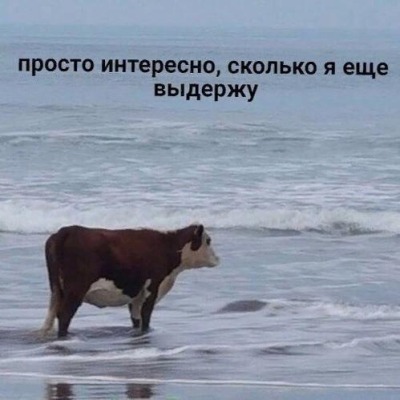 Crem_soda