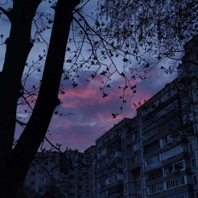 [GeyPanik]
