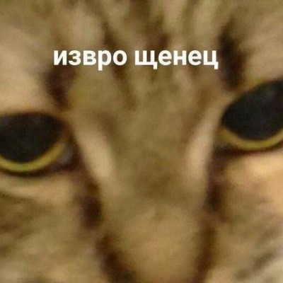 Сасайка