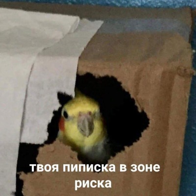 Уксус228