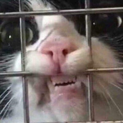 _Биполярочка_