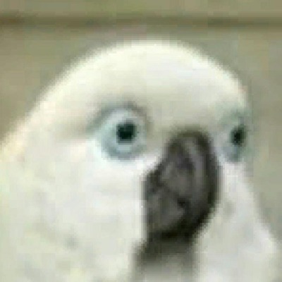 Rayto