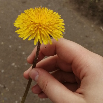 АлинаЛина