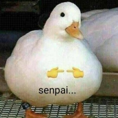 Гусь-тян╰(*°︶°*)╯