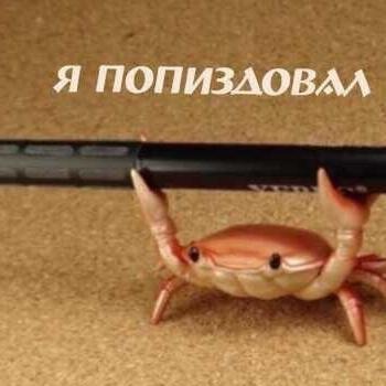 Oleg_stepnoj