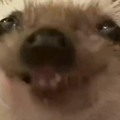 Fyfyl