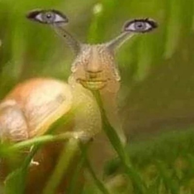 съеден сану