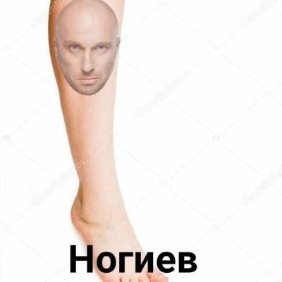 _Попугей_