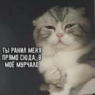 Лизмон Жопская