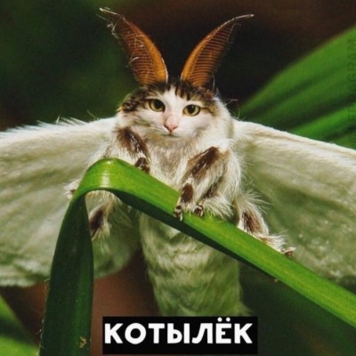 Шумилова Галя