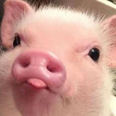 Как жить эту жизнь