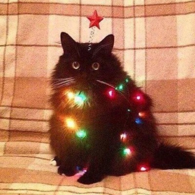 чушka