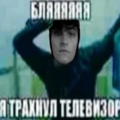 Капибара кайто