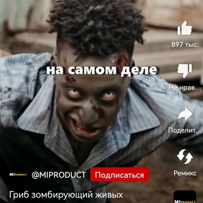 mandarinsyr
