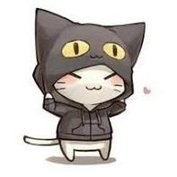 Котик любит яой