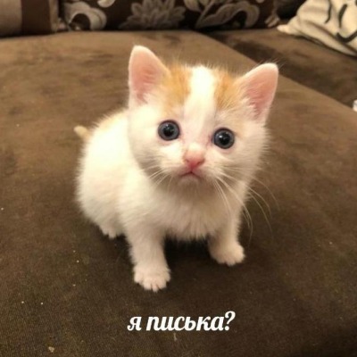Боюсь маму
