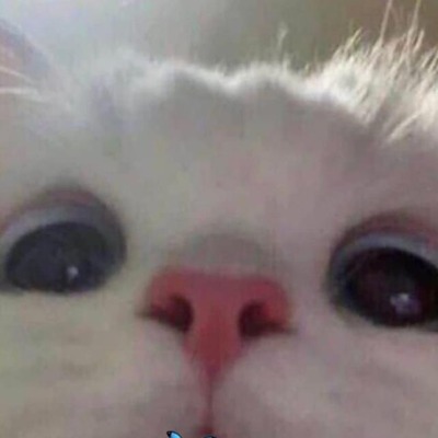Каспер Яна