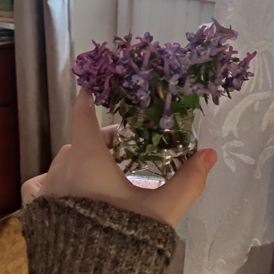яойчик в сердце