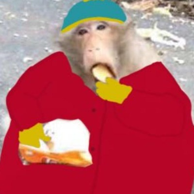 Macaques_luti337