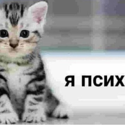 ёж супер ёж