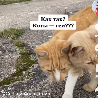Свет