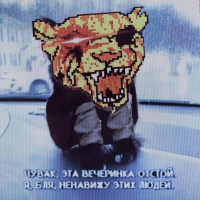 ZxcMonkey