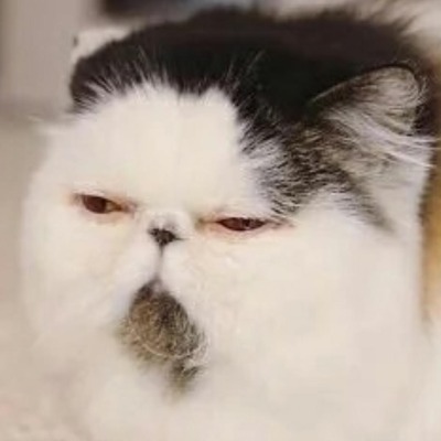 воха лёхин