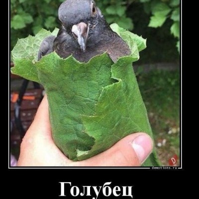 golyb_arkadij