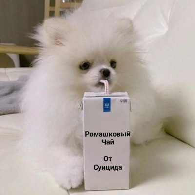 гусь Дмитрий