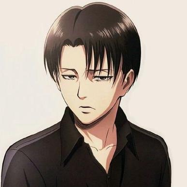Levi Ackerman's wife