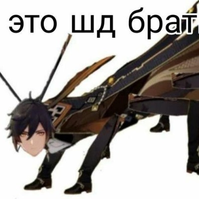 Хуйгосподина