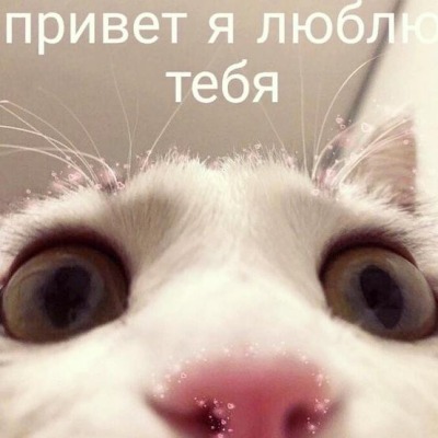 ДонганДон