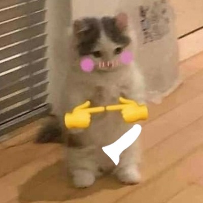 Котик+яой=❤