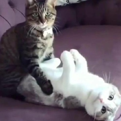 Ого ого порнушка