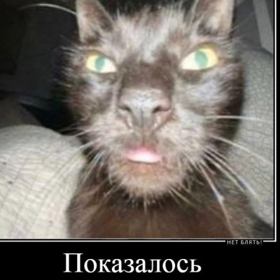 emelanenkoanastasia33
