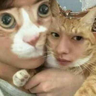 Снежкозавр