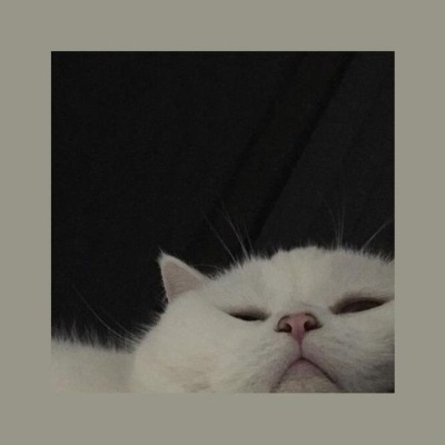 Лада Коротенко