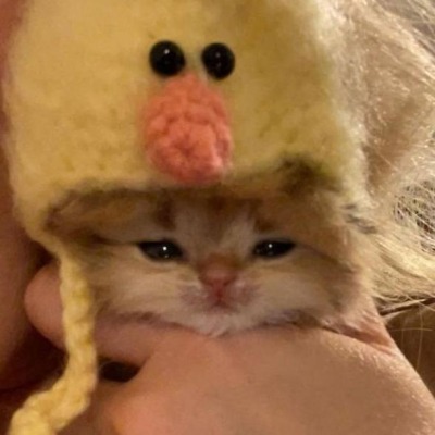 ssshhhit