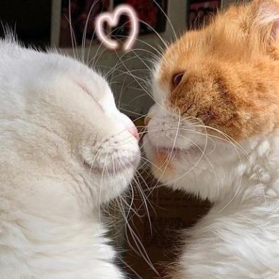 No self-love
