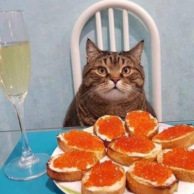Ляляля жужужу
