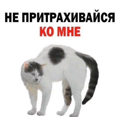 Асоциальная слойка