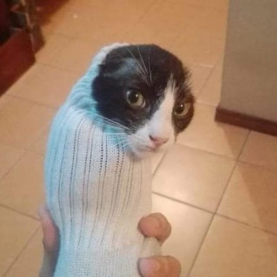 Когда резня?