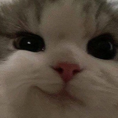 Captain_ass